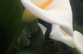 Manzoni Apartment - Foto 22