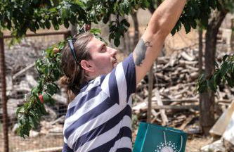 Bonita casa de campo Sa Vinya para relax y piscina privada - Foto 47