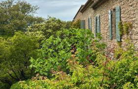 Mas exceptionnel à Lagnes, Provence - Foto 47