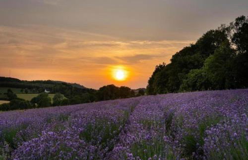 Ferienwohnung mit Sauna - Foto 57