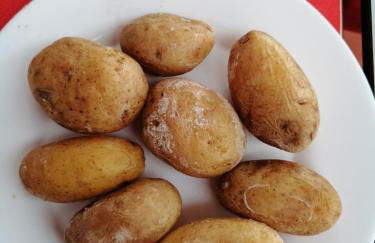 Anaga y La laguna a tus pies - Foto 74