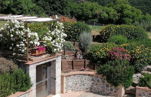 Podere del Papa - Photo 32