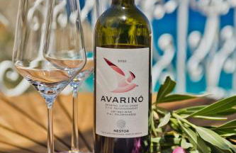 Callisthea - Foto 12