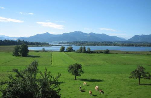 See Cafe Toni - Foto 13