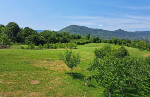 Guesthouse Zafran - Foto 14