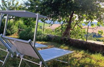 All'ombra del pino ALLOGGIO TURISTICO - Foto 10