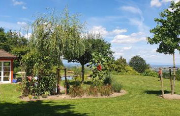 Paradies 1 - Foto 31