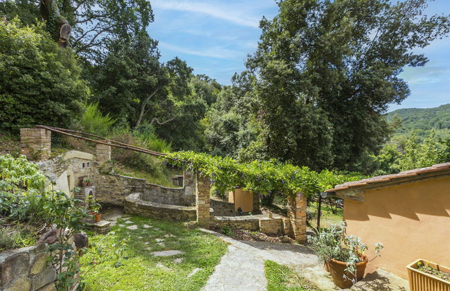 Fiordaliso - Foto 41