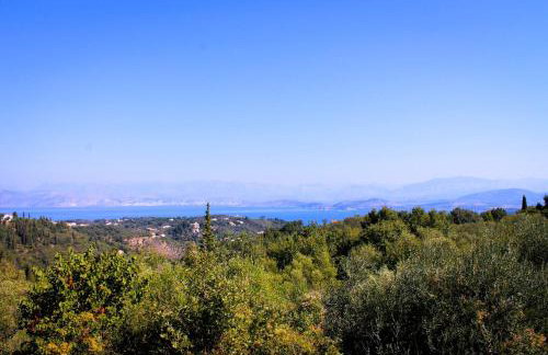 Telia Thea - Foto 20