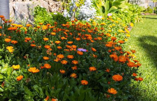 Infinity View - Foto 24