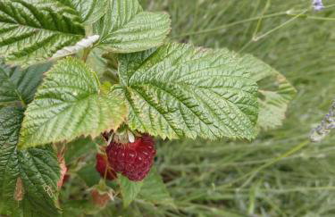 Imagination by Olauda SA - 3 bed House with Free Parking - Foto 55