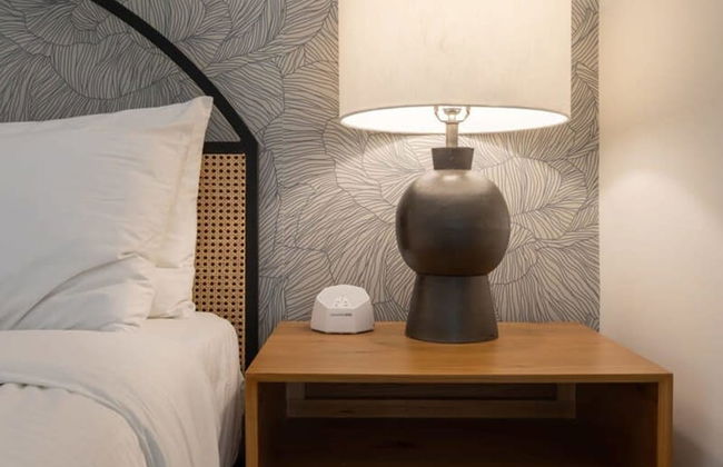 Sosuite 1BR Apt w W/d, Desk Alcove - Photo 20