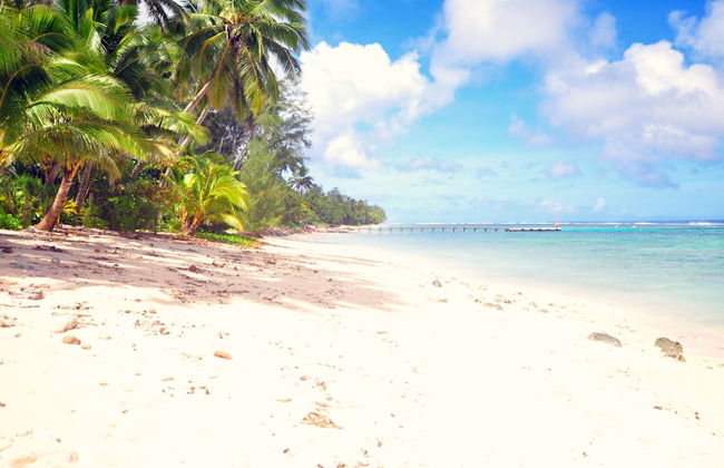 Coral Sands Apartments - Foto 42