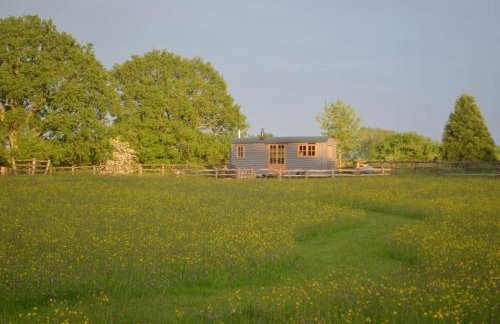 Whittlewood Shepherd's Hut in Silverstone, Cosy, Rural, Views - Photo 29