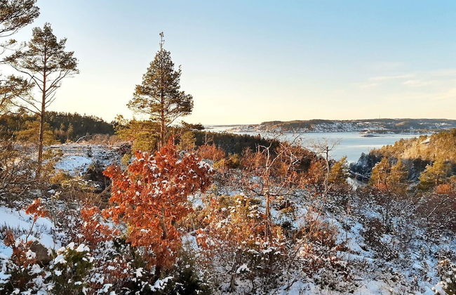 6 Person Holiday Home in Sondeled-by Traum - Foto 18