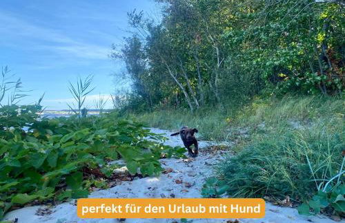 Boddenhus Lubmin - Historische Scheune - Foto 15