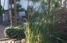 Ferienwohnung Nostalgie in Bruttig-Fankel für 1 - 3 Personen - Foto 24