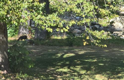 The Cardinal Lodge- A Riverside Retreat - Foto 12