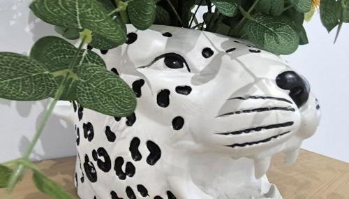 Magdalena, pleno centro - Foto 5