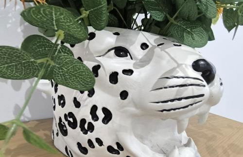 Magdalena, pleno centro - Foto 5