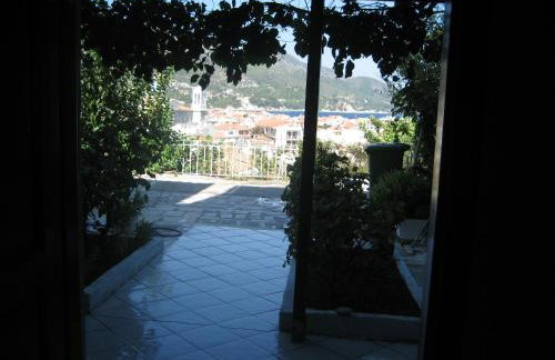 Kamelia - Foto 6