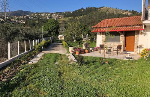 Παραδοσιακό σπίτι με τζάκι - Foto 15