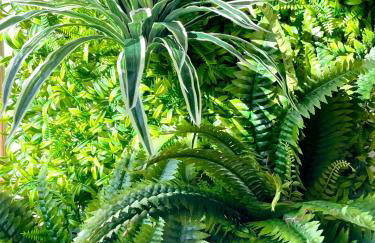 Escale bohème - Terrasse en centre-ville - Gare - Foto 35