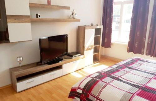 Monteurwohnung, Arbeiterunterkunft, Pension, Gästewohnung in Altenburg , Kurz u Langzeitmiete - Foto 4