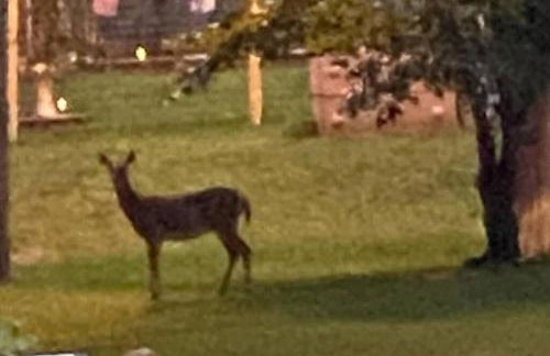 Home in the Heart of W.V. Adventure Country! - Photo 64