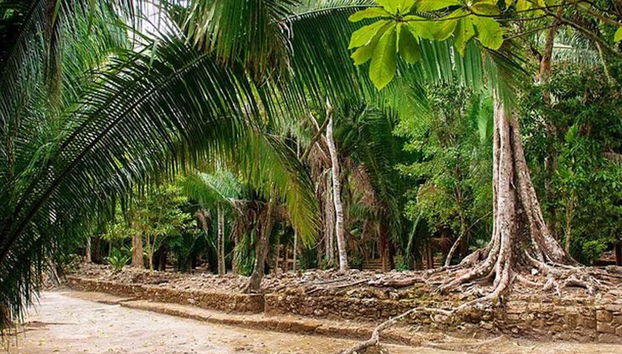 Excursión a Chacchobén para cruceros - Foto 3, Selva rodeando los vestigios de Chacchobén