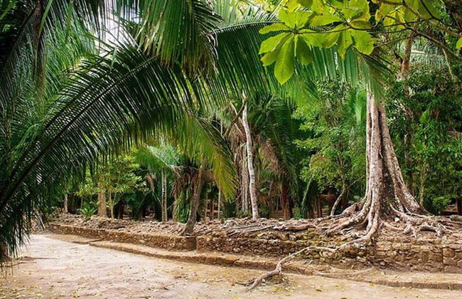 Excursión a Chacchobén para cruceros - Foto 3