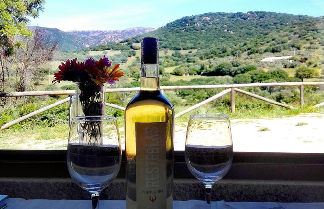 Agriturismo B&B Domo De Resteblas - Foto 27