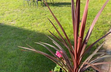 Guest House Wiejska Sielanka - Foto 7