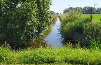 Mooroase Bauerngarten - Ovelgönne - Nordsee - Weser - Jade - Foto 30