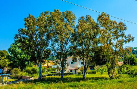 Aloni Studios and Apartments - Photo 43