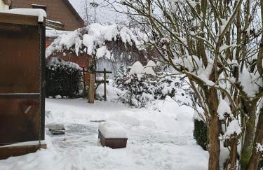 Birkenstübchen - Foto 18