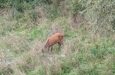 La Casina del Salice - Foto 19