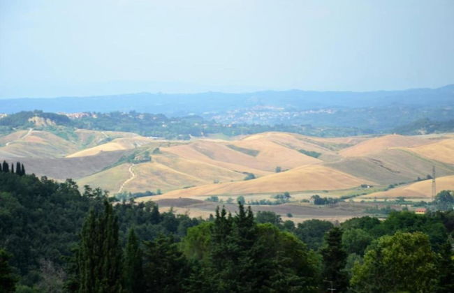 Tuscany Family Country Home - Photo 29