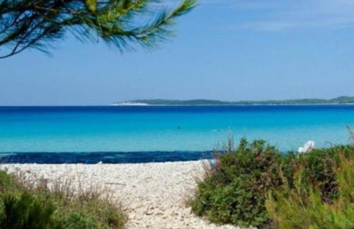 Apartment Lordanic Zaglav, Dugi otok - Foto 30