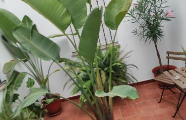 Azahares Apartamento turístico - Foto 65