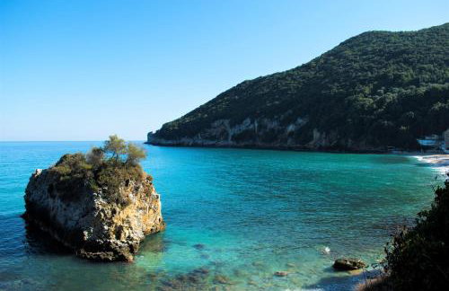 Feel at Home - Photo 34