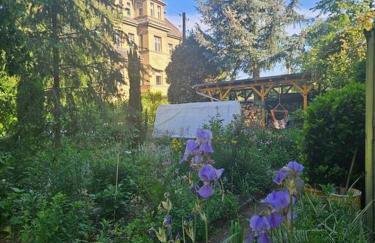 FeWo Wittig am Kulturbahnhof 2 - Foto 14