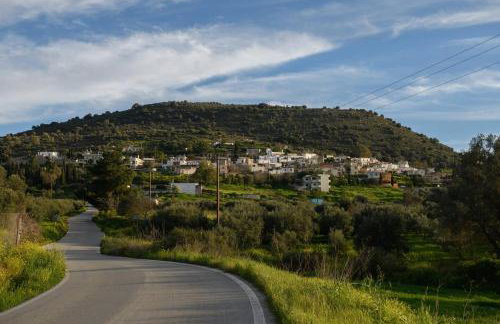 Kouses Estate Close To Matala,komo Beach & Faistos - Foto 24