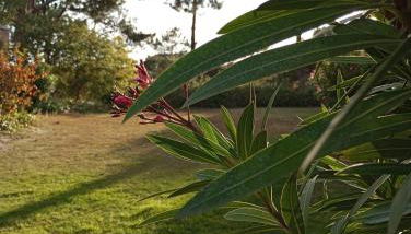 Quinta do Lago Villa and Golf - Foto 5, Garden view