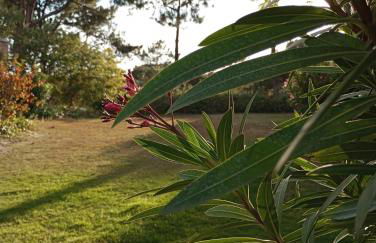 Quinta do Lago Villa and Golf - Foto 5