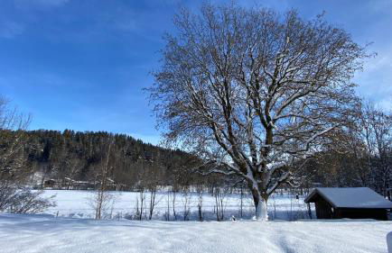 Pure Nature Munich - Alps - Foto 11