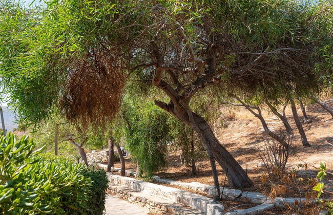 Elena s Traditional Dreamhouse - Foto 44