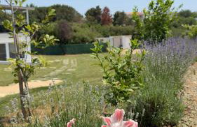 Platan Paradise - Foto 53