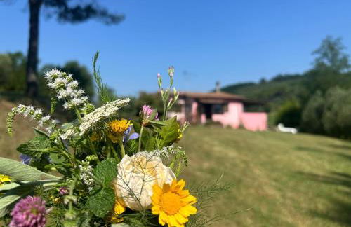 Agriturismo Campolungo - Foto 16