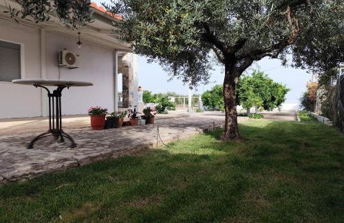 Grey house - Foto 18